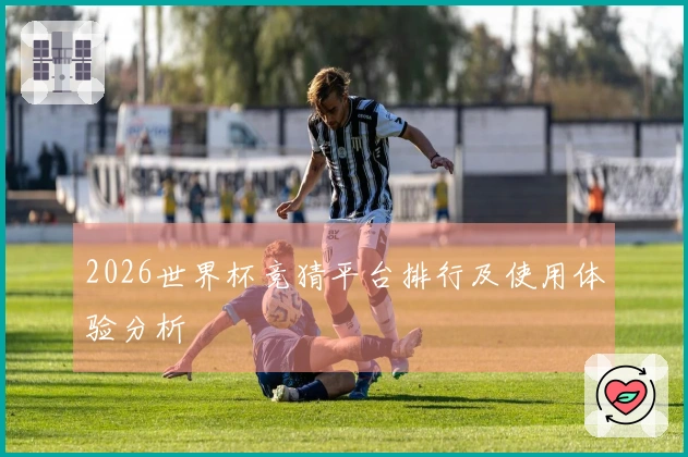 2026世界杯竞猜平台排行及使用体验分析