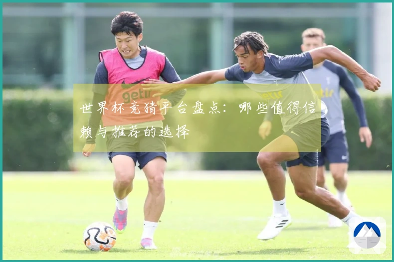 世界杯竞猜平台盘点：哪些值得信赖与推荐的选择