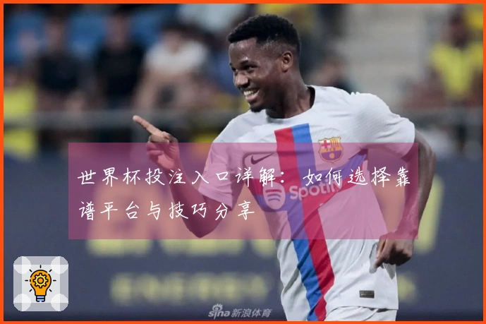 世界杯投注入口详解：如何选择靠谱平台与技巧分享