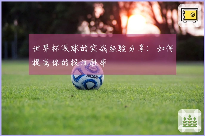 世界杯滚球的实战经验分享：如何提高你的投注胜率