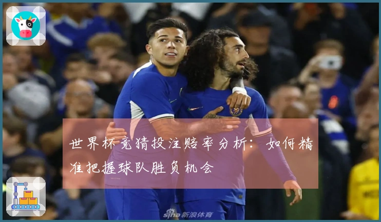 世界杯竞猜投注赔率分析：如何精准把握球队胜负机会