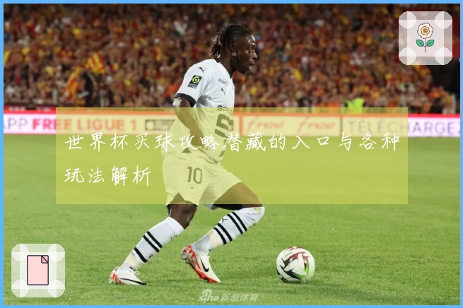 世界杯买球攻略潜藏的入口与各种玩法解析