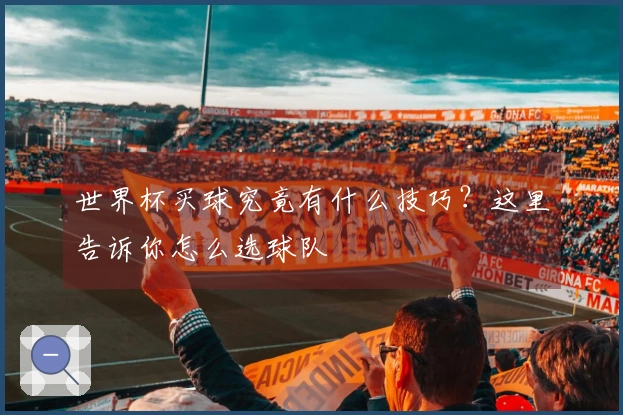 世界杯买球究竟有什么技巧？这里告诉你怎么选球队
