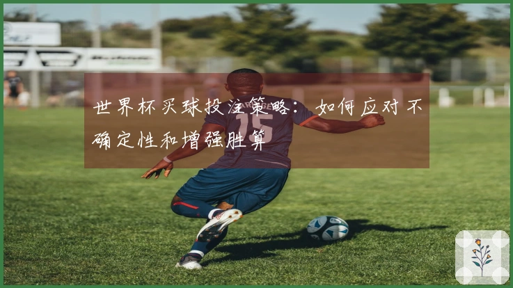 世界杯买球投注策略：如何应对不确定性和增强胜算