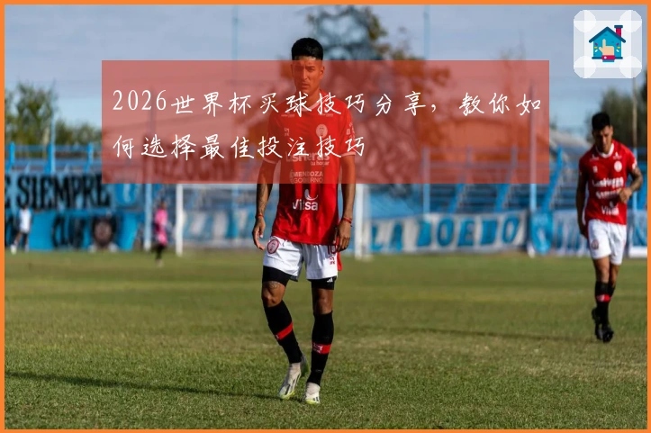 2026世界杯买球技巧分享，教你如何选择最佳投注技巧