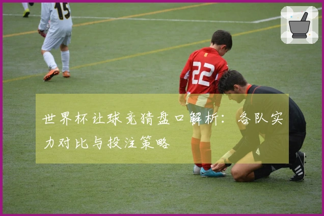 世界杯让球竞猜盘口解析：各队实力对比与投注策略