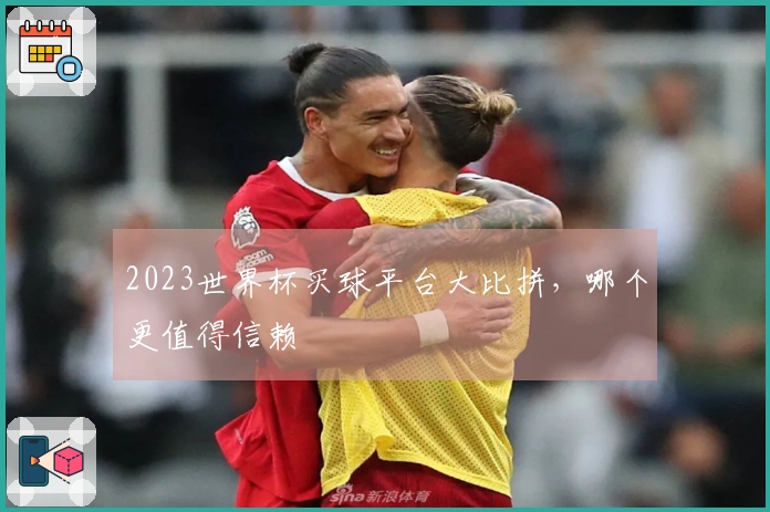 2023世界杯买球平台大比拼，哪个更值得信赖