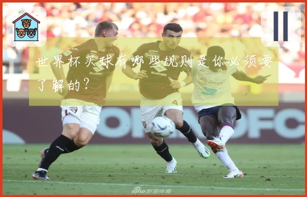 世界杯买球有哪些规则是你必须要了解的？