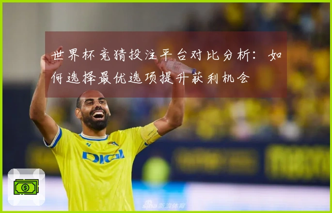 世界杯竞猜投注平台对比分析：如何选择最优选项提升获利机会