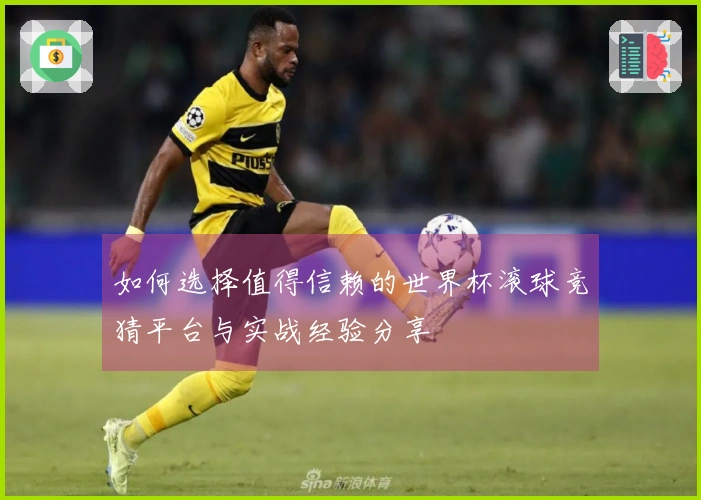 如何选择值得信赖的世界杯滚球竞猜平台与实战经验分享