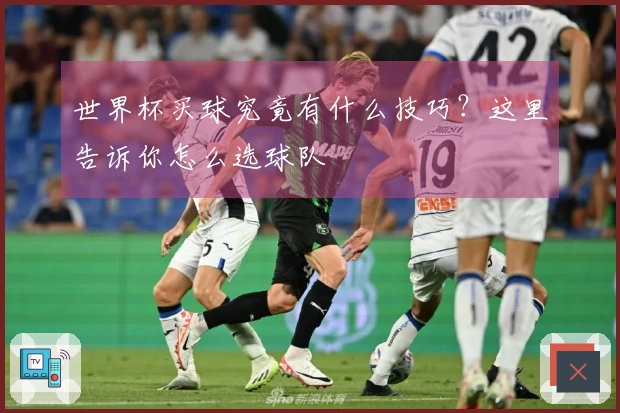 世界杯买球究竟有什么技巧？这里告诉你怎么选球队