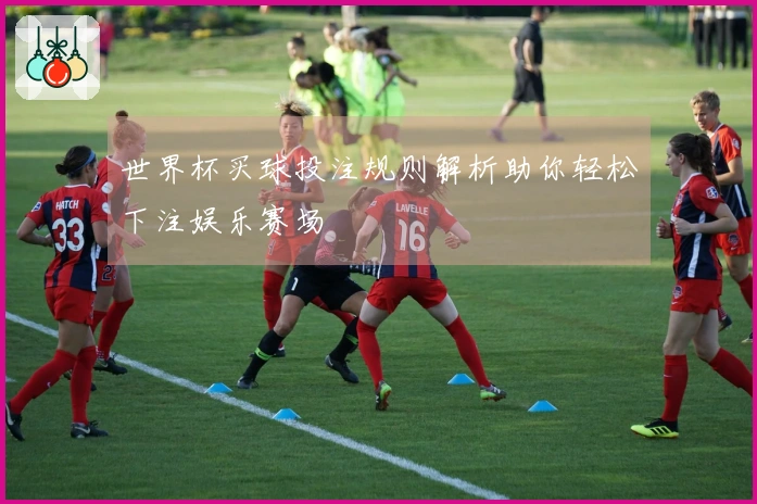 世界杯买球投注规则解析助你轻松下注娱乐赛场